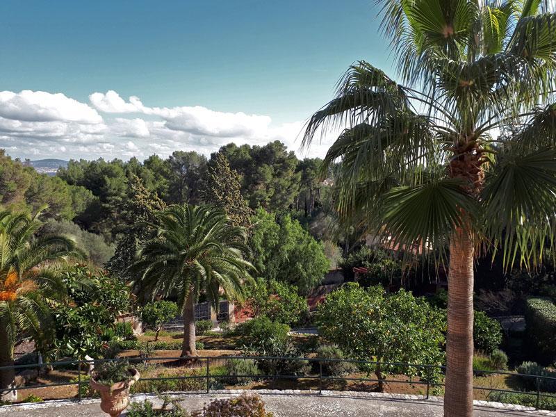 Casa De Las Vistas Палма де Майорка Екстериор снимка